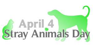 fot. World Stray Animals Day