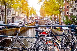 Fot. Yasonya - Fotolia.com Fot. Yasonya - Fotolia.com