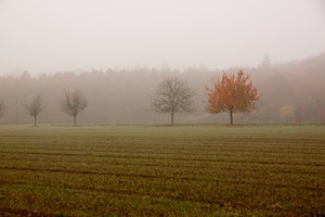 6 sposobów na sezonową depresję. Jak walczyć z SAD [© Ingairis - Fotolia.com]