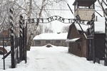 67. rocznica wyzwolenia Auschwitz [© Mirek Hejnicki - Fotolia.com]