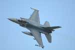 75-latka eskortowana przez F-16 [© Sascha Hahn - Fotolia.com]