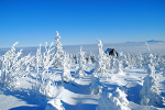 Aby zima znw nie zaskoczya... portfeli [© Tomasz Frysztak - Fotolia.com]