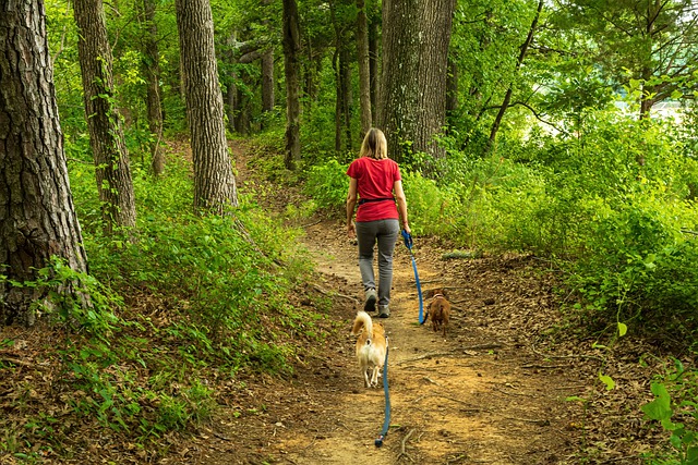 Aktywno fizyczna zmniejsza ryzyko bezdechu sennego [fot. wileydoc from Pixabay]