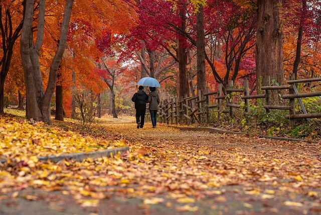 Aktywno na zewntrz poprawia nastrj i zmniejsza lk [fot. chulmin park from Pixabay]