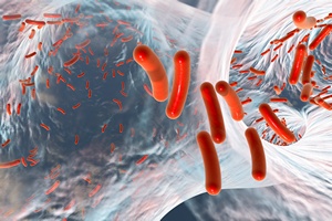 Alarmujce szacunki: za 25 lat oporne na antybiotyki bakterie zabij miliony ludzi [©  Dr_Kateryna - Fotolia.com]
