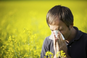 Alergiku, odetchnij z ulg [© lichtmeister - Fotolia.com]