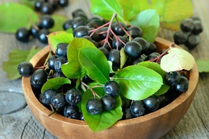 Aronia: idealna na wiosenne przesilenie [© voltan - Fotolia.com]