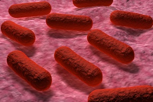 Bakterie mog wykry raka i cukrzyc? [©  4designersart - Fotolia.com]