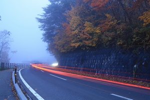 Bezpieczny listopad na drogach [©  hallucion_7 - Fotolia.com]