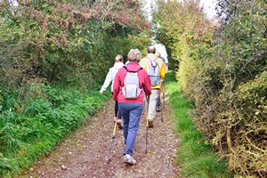 Bezpatne treningi nordic walking - maszeruj po zdrowie [©  chrisberic - Fotolia.com]