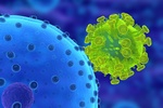 Biako, ktre jest w stanie zagodzi HIV [© Sebastian Kaulitzki - Fotolia.com]
