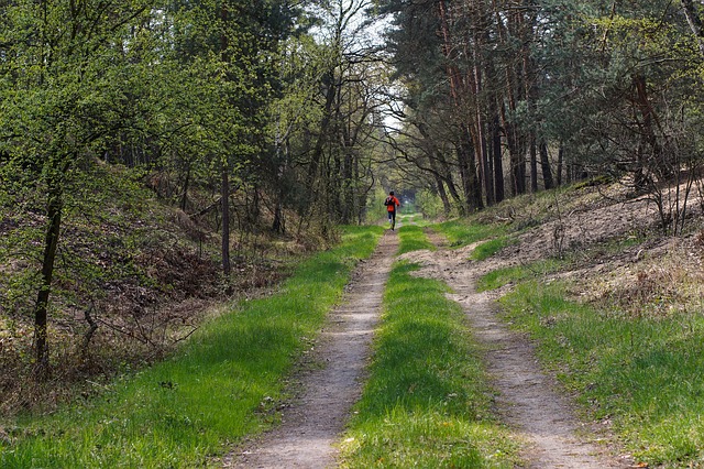 Bieganie (na dowolne dystanse) przedua ycie [fot. summa z Pixabay]