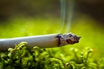 Bierne palenie osabia pami [© Igor Kolos - Fotolia.com]
