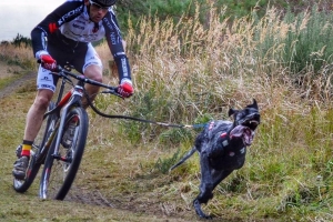 Bikejoring, czyli rower psem napdzany [Fot. materiay prasowe]