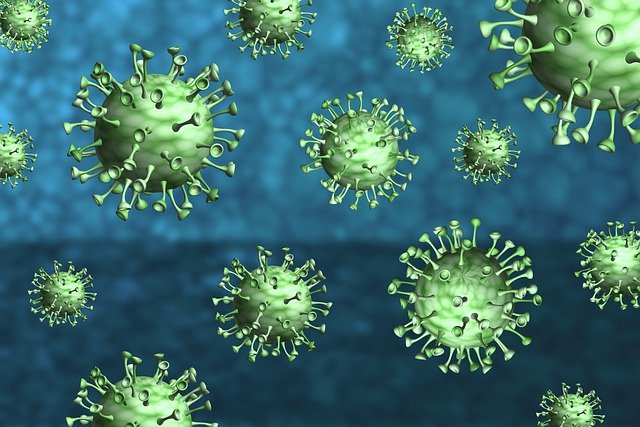COVID-19: szczepienia i wcześniejsze zachorowanie a wariant Omicron [fot. Thiago Lazarino from Pixabay]