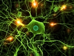 Choroba Parkinsona - podstawowe informacje [©  Sebastian Kaulitzki - Fotolia.com]