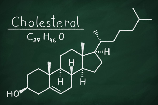 Co je, by obniy cholesterol [Fot. makaule - Fotolia.com]