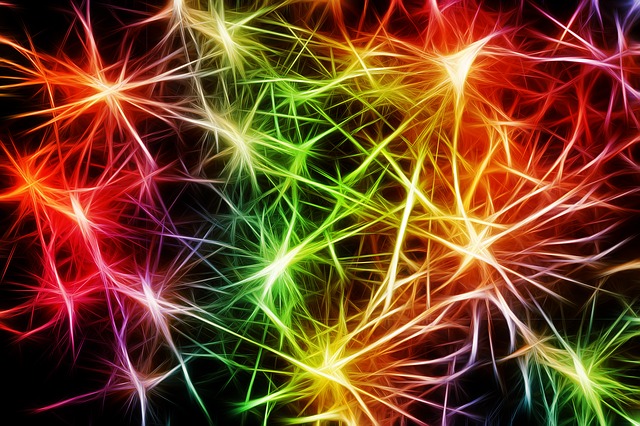 Ćwiczenia chronią synapsy (połączenia nerwowe) u seniorów [fot. Gerd Altmann from Pixabay]