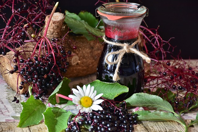Czarny bez skuteczny w zapobieganiu zmarszczkom i innym objawom starzenia si [fot. RitaE from Pixabay]