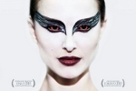 Czarny abd (Black Swan)