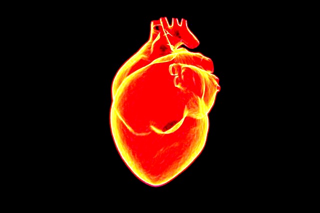 Czynniki ryzyka chorób serca są (w większości) takie same dla wszystkich [fot. Raman Oza from Pixabay]