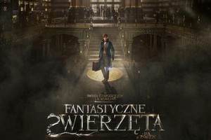 David Yates krci pi filmw z serii "Fantastyczne zwierzta i jak je znale". J.K. Rowling pisze scenariusze [fot. Fantastyczne zwierzta]