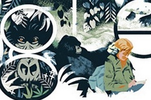 Dian Fossey - "matka goryli" uhonorowana Google Doodle [fot. Google]