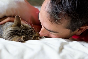 Dlaczego kot moe zaburza twj sen? [© Eléonore H - Fotolia.com]