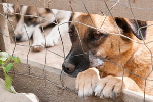 © siculodoc - Fotolia.com © siculodoc - Fotolia.com