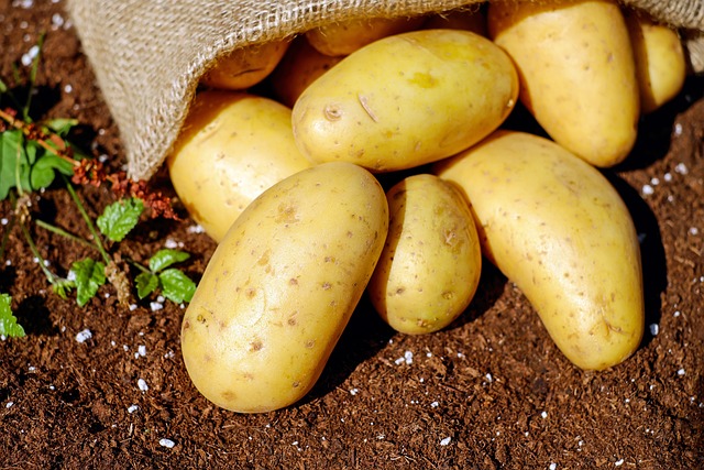 Dlaczego ziemniaki nie zasługują na swoją kiepską reputację [fot. Couleur from Pixabay]