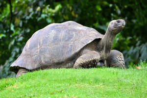 Dugowieczno zaley od... osobowoci [© Ivan Sinayko - Fotolia.com]