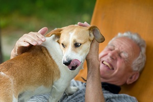 Dogoterapia dla seniorw. Rwnie na codzie [© Budimir Jevtic - Fotolia.com]