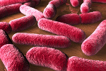 E.coli - czyste ręce i czyste sumienie [© scienceandart - Fotolia.com]