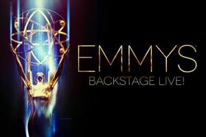 Emmy 2014: "Wspczesna rodzina" i "Breaking Bad" najlepszymi serialami [fot. emmys.com]