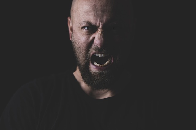 Gniew i wrogo sprzyjaj migotaniu przedsionkw u mczyzn [fot. Engin Akyurt from Pixabay]