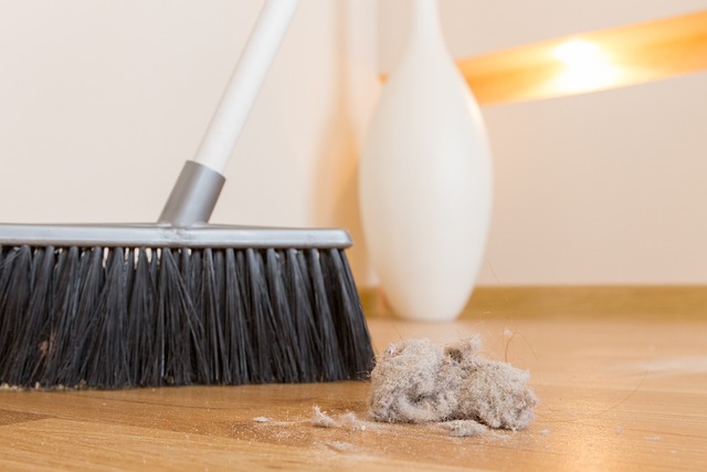 Gotowanie i sprzątanie zanieczyszcza powietrze w mieszkaniu [fot.  Maria from Pixabay]