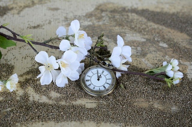 Ignorujesz indywidualny zegar biologiczny? Masz wyższe ryzyko depresji i niższej jakości życia [fot. anncapictures from Pixabay]