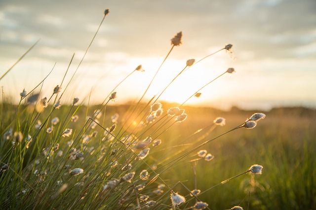 Ilość światła słonecznego wpływa na nasze zdrowie psychiczne: przypadek Finlandii [fot. Rudy and Peter Skitterians from Pixabay]