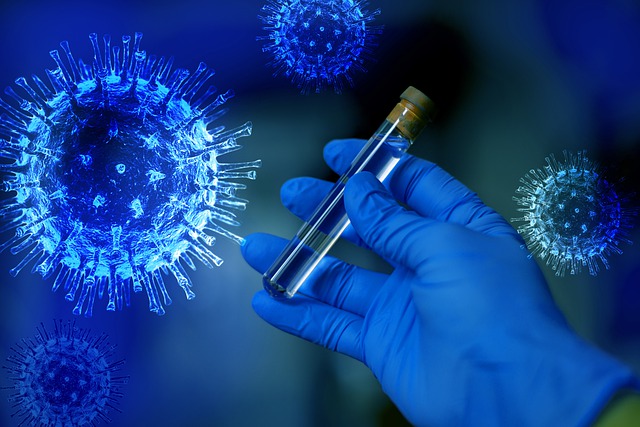 Infekcja pÅuc SARS-CoV-2 moÅe uszkodziÄ serce [fot. fernando zhiminaicela from Pixabay]