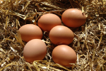 Jajeczna kontrola: le podana trwao, klatkowe zamiast cikowych [© full image - Fotolia.com]