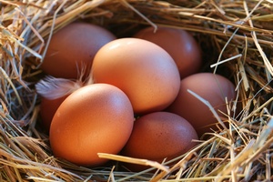 Jajka pene wartoci. Tylko od szczliwych kur [© volff - Fotolia.com]