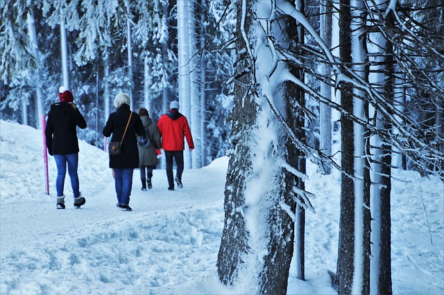 Jak dbać o zdrową aktywność zimą - kilka porad [fot. pasja1000 from Pixabay]