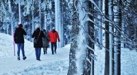 Jak dba o zdrow aktywno zim - kilka porad