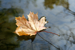 Jak nie da si jesiennemu i zimowemu spadkowi formy - cz. II [© Jolanta Mysinska - Fotolia.com]