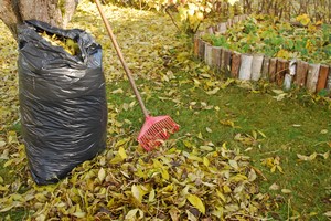 Jak przygotowa dziak letniskow na chodniejsze dni [© tinadefortunata - Fotolia.com, Jesie]