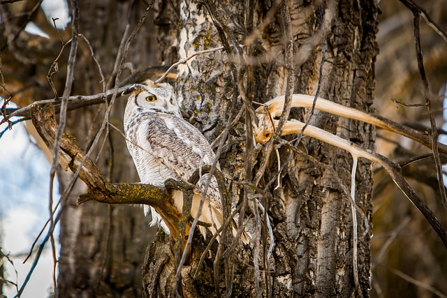Jak si ma mdro do samotnoci? [fot. LaterJay Photography from Pixabay]