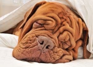© iNNOCENt - Fotolia.com © iNNOCENt - Fotolia.com