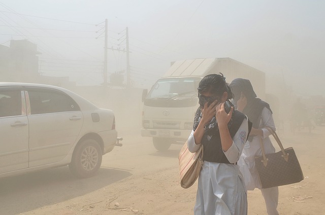 Jak zanieczyszczenie powietrza zaburza prac mzgu [fot. Maruf Rahman from Pixabay]