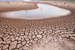 Jak zmiany klimatyczne sprzyjaj chorobom psychicznym [Fot. piyaset - Fotolia.com]