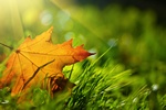 © Konstantin Sutyagin - Fotolia.com